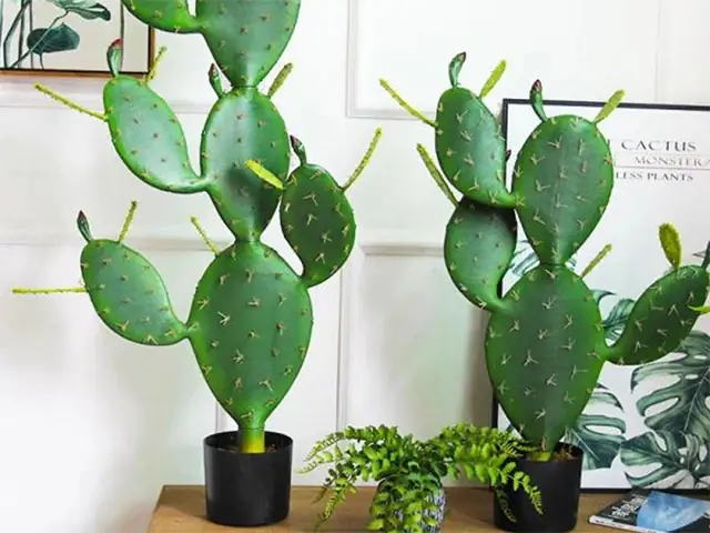 6. ShopCây CảnhOnline Tiny Garden