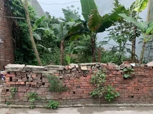 Bài Giảng Điện Tử Gấu Con Chia Quà: Phương Pháp Dạy Học Sáng Tạo