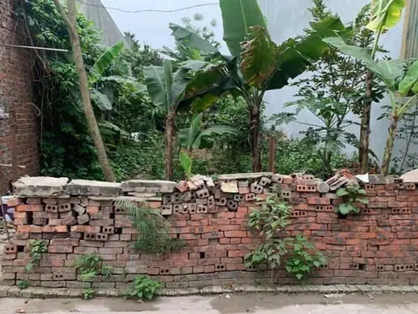 Bài Giảng Điện Tử Gấu Con Chia Quà: Phương Pháp Dạy Học Sáng Tạo