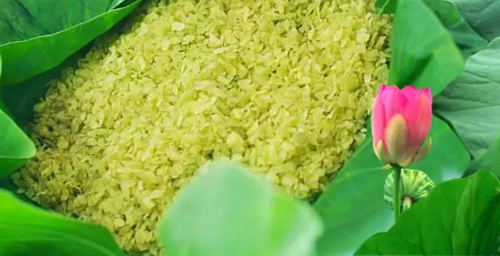 Phân Tích Sâu Sắc Bài 'Một Thứ Quà Của Lúa Non: Cốm' Của Thạch Lam
