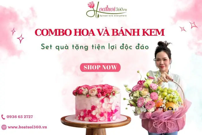 Bánh và Quà Sinh Nhật: Từ A-Z Cách Chọn Cho Mọi Đối Tượng Bánh và Quà Sinh Nhật: Từ A-Z Cách Chọn Cho Mọi Đối Tượng