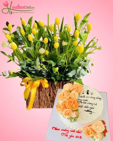 Bánh và Quà Sinh Nhật: Từ A-Z Cách Chọn Cho Mọi Đối Tượng Bánh và Quà Sinh Nhật: Từ A-Z Cách Chọn Cho Mọi Đối Tượng