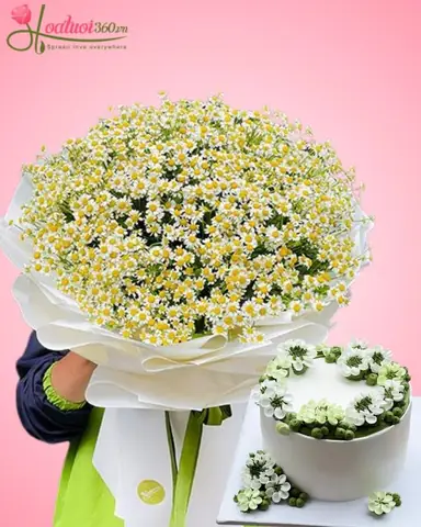 Bánh và Quà Sinh Nhật: Từ A-Z Cách Chọn Cho Mọi Đối Tượng Bánh và Quà Sinh Nhật: Từ A-Z Cách Chọn Cho Mọi Đối Tượng