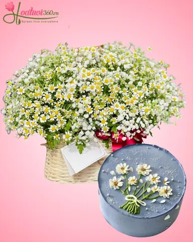 Bánh và Quà Sinh Nhật: Từ A-Z Cách Chọn Cho Mọi Đối Tượng Bánh và Quà Sinh Nhật: Từ A-Z Cách Chọn Cho Mọi Đối Tượng