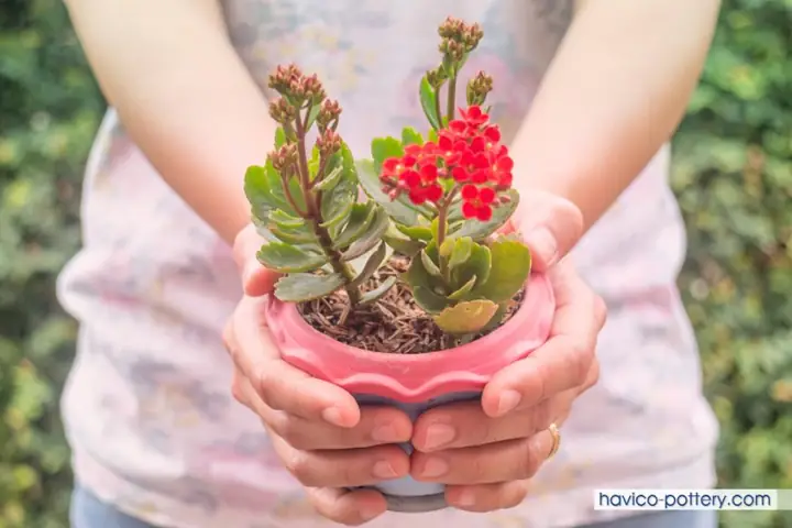Hướng Dẫn Chi Tiết Cách Làm Hoa Gói Quà Đẹp và Ý Nghĩa