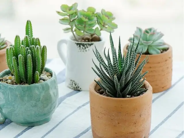 Làm Quà Trung Thu Tặng Bạn: Gợi Ý Và Hướng Dẫn Chi Tiết