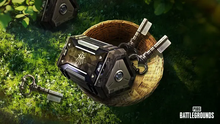 Hướng Dẫn Chi Tiết Cách Tặng Quà Trong PUBG Cho Người Mới