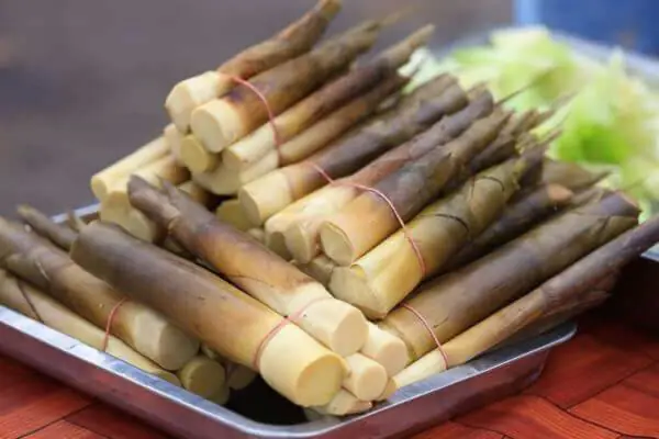 Măng Tươi Tuyên Quang