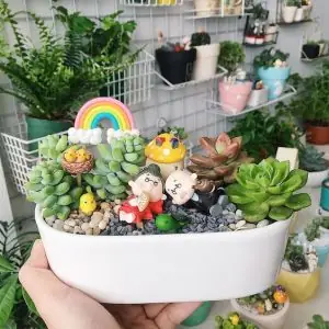 Con gái thích được tặng quà gì? Hướng dẫn chọn quà tâm lý và 30+ gợi ý độc đáo Con gái thích được tặng quà gì? Hướng dẫn chọn quà tâm lý và 30+ gợi ý độc đáo