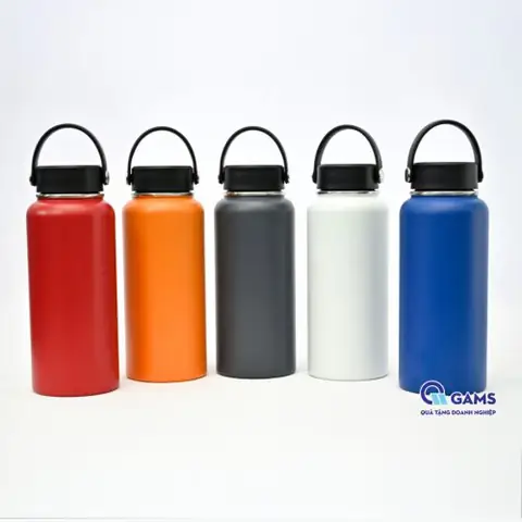 Bình giữ nhiệt Gams 530ml (1)