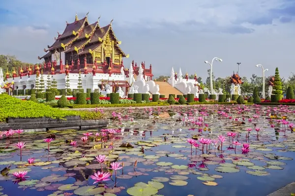 Đánh Giá Chi Tiết Công Ty TNHH Quà Tặng Sen Việt: Tin Cậy Không?