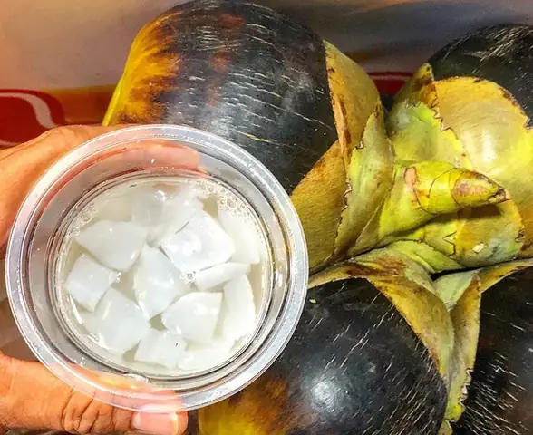 34. Trái thốt nốt