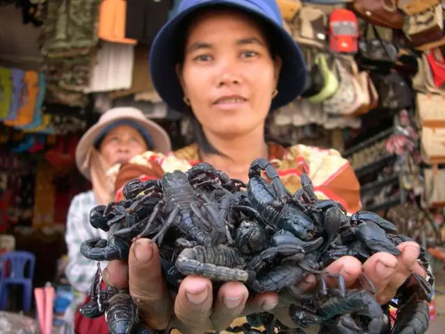 2. Bò cạp Bảy Núi