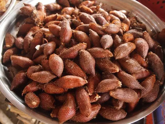 19. Mây gai An Giang