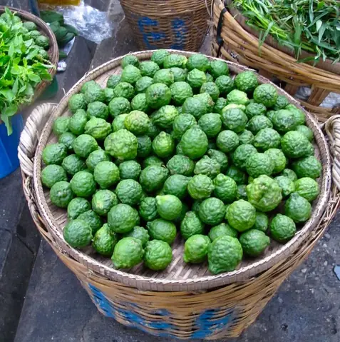 8. Quả chúc Thất Sơn