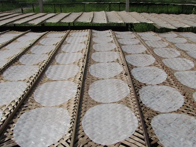 1.9 Bánh tráng Mỹ Lồng