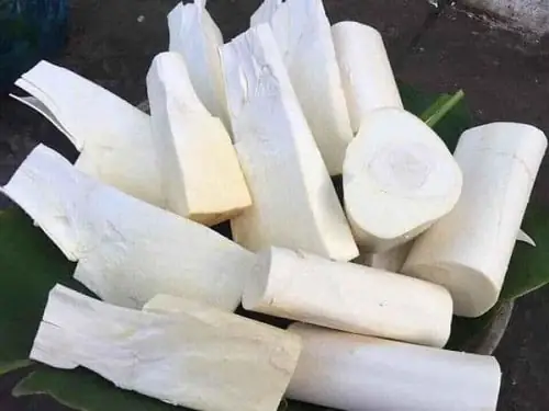 1.4 Củ hũ dừa khô