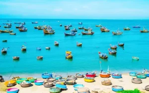 Top Đặc Sản Bình Thuận Làm Quà: Lựa Chọn Ý Nghĩa Từ A-Z