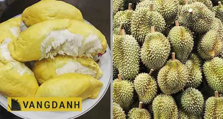 1. Sầu riêng Đắk Lắk