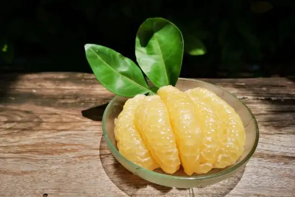 Đặc Sản Đồng Nai Làm Quà: Nên Chọn Món Gì Vừa Ngon Lại Ý Nghĩa?