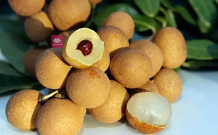 Nhãn Châu Thành Nhãn Châu Thành