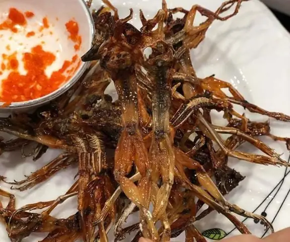 Hướng Dẫn Chọn Đặc Sản Làm Quà Tết 3 Miền Độc Đáo Và Tinh Tế