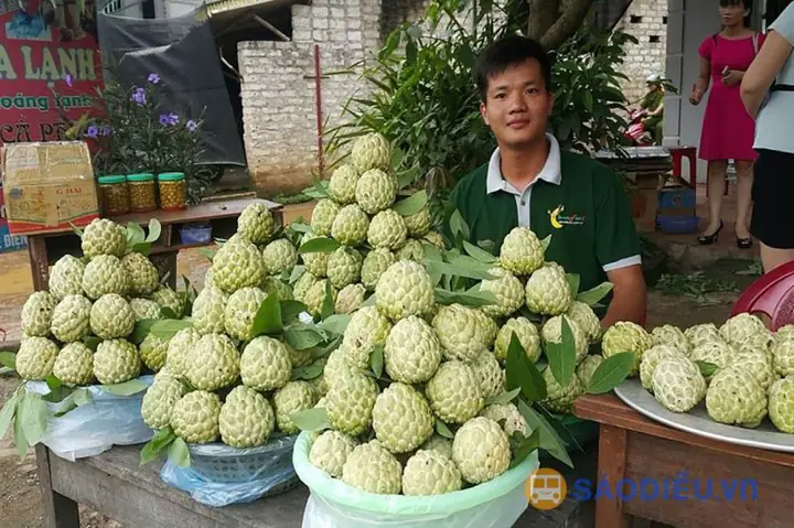 Na Chi Lăng Na Chi Lăng