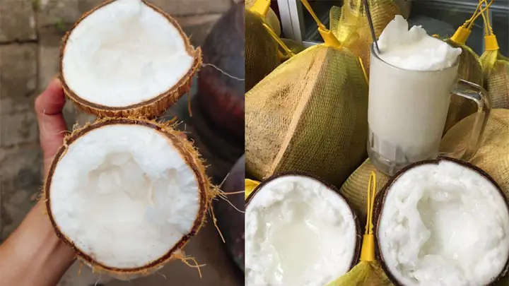 7Dừa sáp - Trà Vinh