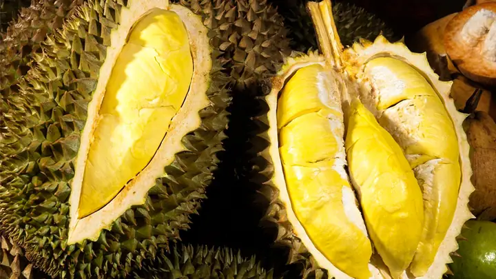 10Sầu riêng Tiền Giang