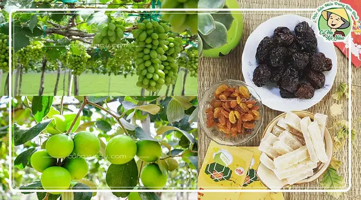 Đặc Sản Miền Trung Làm Quà: Cẩm Nang Chọn Lựa Đúng Chuẩn