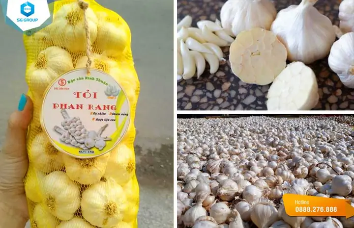 Đặc Sản Ninh Thuận Làm Quà: Nên Chọn Món Nào Hấp Dẫn?