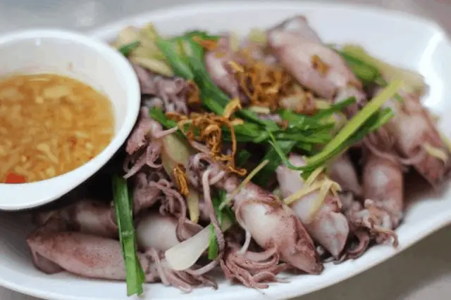 16. Mực cơm biển bãi ngang