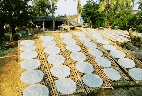 15. Bánh tráng Đại Lộc
