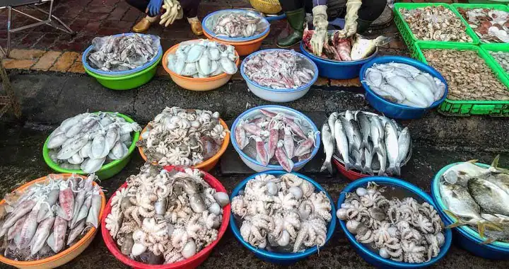 đặc sản quy nhơn bình định làm quà