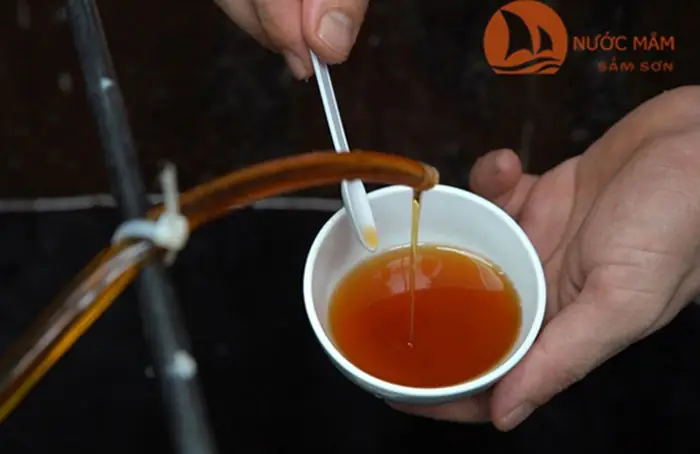 Đặc Sản Sầm Sơn Nào Nên Mua Làm Quà Tặng Người Thân?