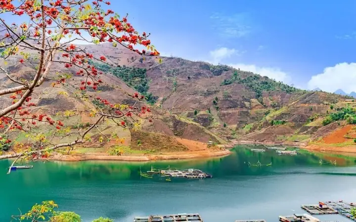 7 Đặc Sản Sơn La Làm Quà Tặng Ý Nghĩa Từ Vùng Tây Bắc