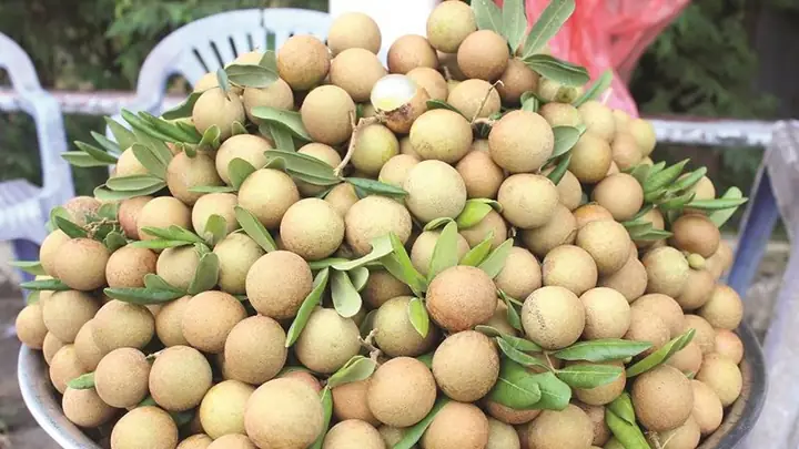 Hướng Dẫn Chọn 20+ Đặc Sản Tiền Giang Làm Quà Tặng Ý Nghĩa