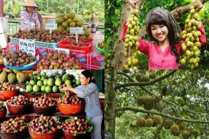 Đi Bình Dương Nên Mua Quà Gì? Gợi Ý Quà Tặng Độc Đáo