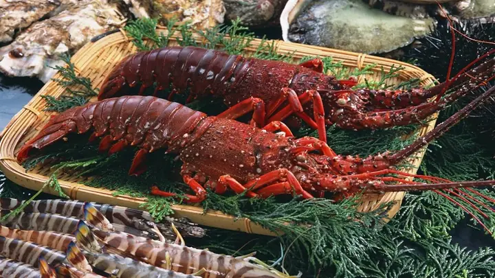 Đi Côn Đảo mua quà gì? Khám phá 10+ đặc sản không thể bỏ lỡ