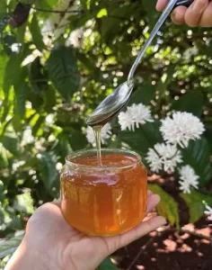Đi Đắk Lắk mua quà gì làm quà biếu ý nghĩa, độc đáo?