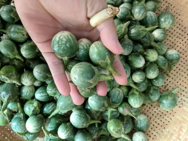 Đi Đắk Lắk mua quà gì làm quà biếu ý nghĩa, độc đáo?