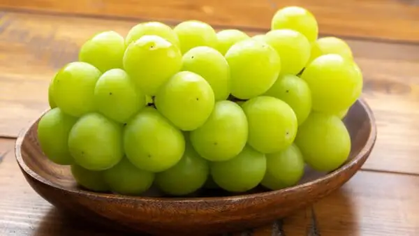 Đi Thượng Hải mua quà gì? 15+ Món quà độc đáo, ý nghĩa nhất