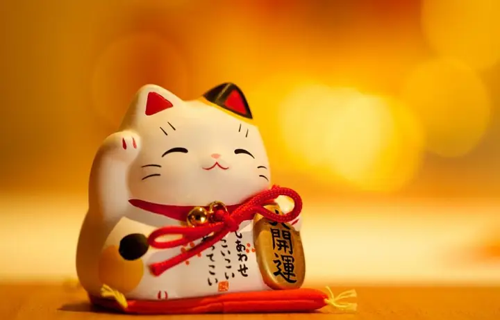 Đồ Nhật Bản Làm Quà: Hướng Dẫn Chọn Lựa Món Quà Ý Nghĩa