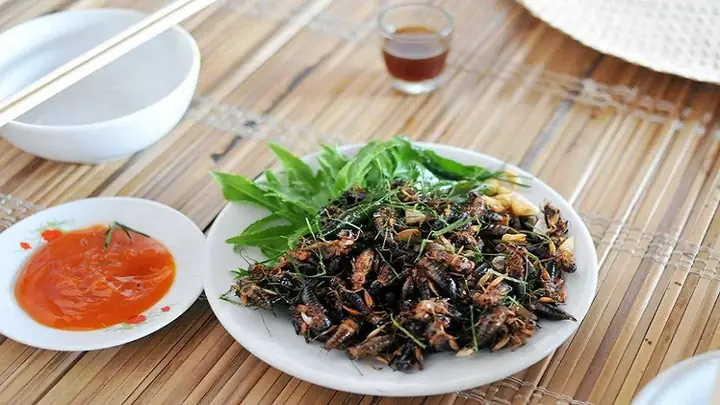 Dế Chiên Nước Mắm – Hương Vị Độc Đáo Miền Rừng