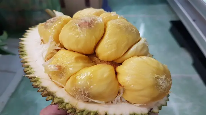 Mít Tố Nữ Long Khánh – Thơm Lừng Hương Vị Miền Nhiệt Đới