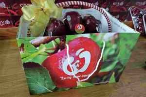 Giỏ Hoa Quả Làm Quà Tặng: Chọn Sao Cho Ý Nghĩa & Tinh Tế?
