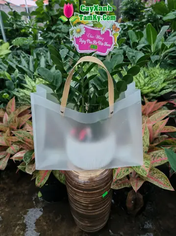 Tất tần tật về giỏ quà tặng khai trương: Từ ý nghĩa đến cách chọn