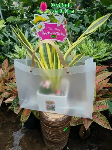 Tất tần tật về giỏ quà tặng khai trương: Từ ý nghĩa đến cách chọn