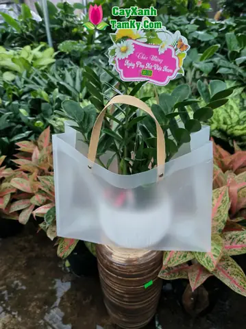 Tất tần tật về giỏ quà tặng khai trương: Từ ý nghĩa đến cách chọn