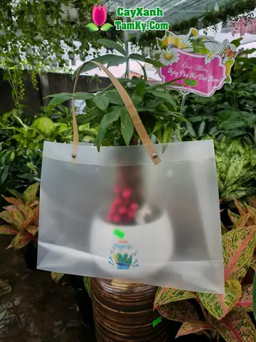 Tất tần tật về giỏ quà tặng khai trương: Từ ý nghĩa đến cách chọn